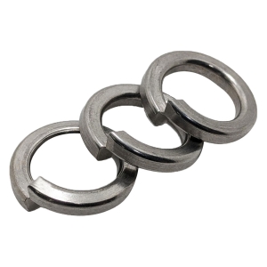 Long Đền Vênh 8.8