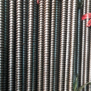 Ty Ren Vuông Tán Chuồn